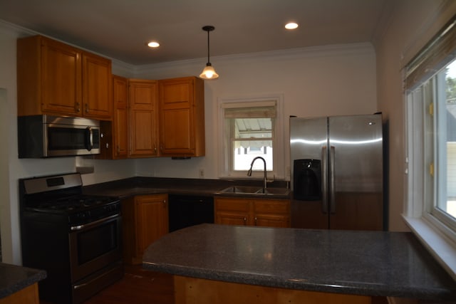 kitchen featuring appliances with stainless steel finishes, a wealth of natural light, sink, and pendant lighting