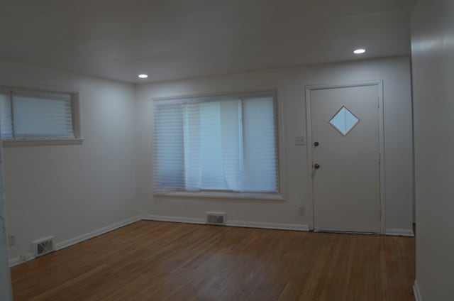 entryway featuring wood-type flooring