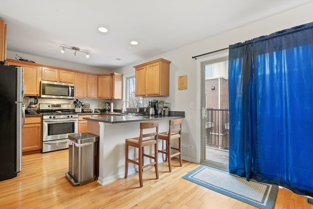 kitchen with kitchen peninsula, stainless steel appliances, plenty of natural light, and light hardwood / wood-style floors