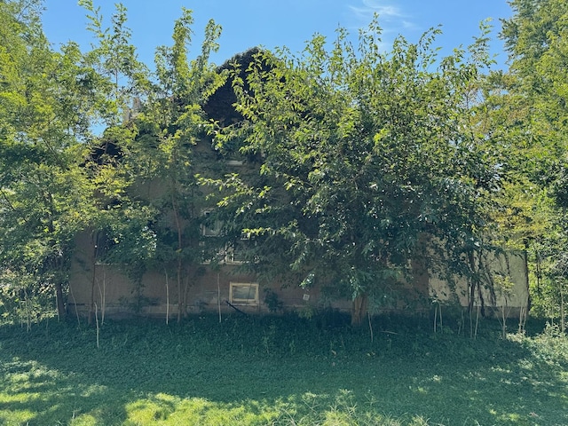 304 S Union St, Plymouth, IL 62367 - view of yard