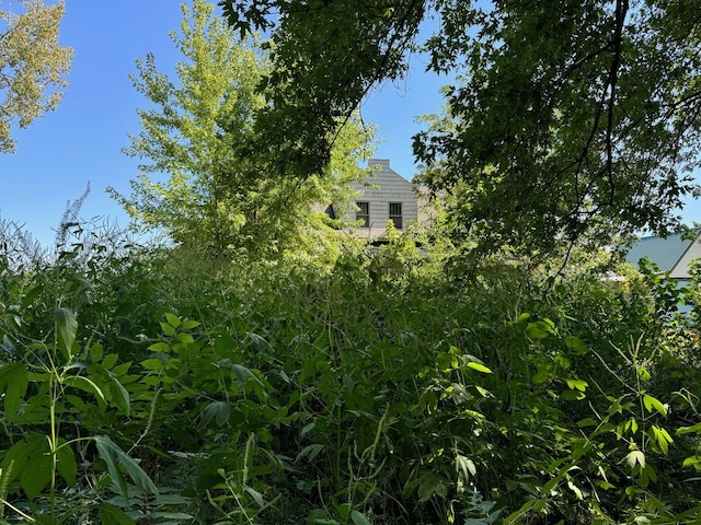 304 S Union St, Plymouth, IL 62367 - view of yard