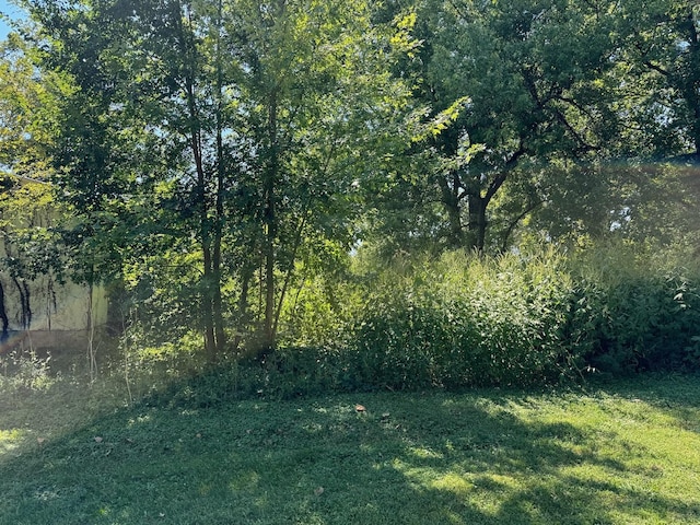 304 S Union St, Plymouth, IL 62367 - view of yard