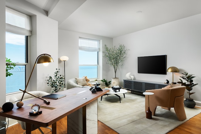 living room featuring wood-type flooring