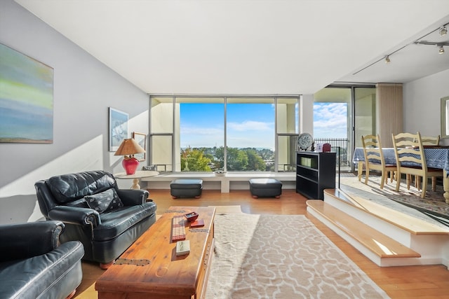 living room featuring light wood-type flooring, track lighting, and expansive windows