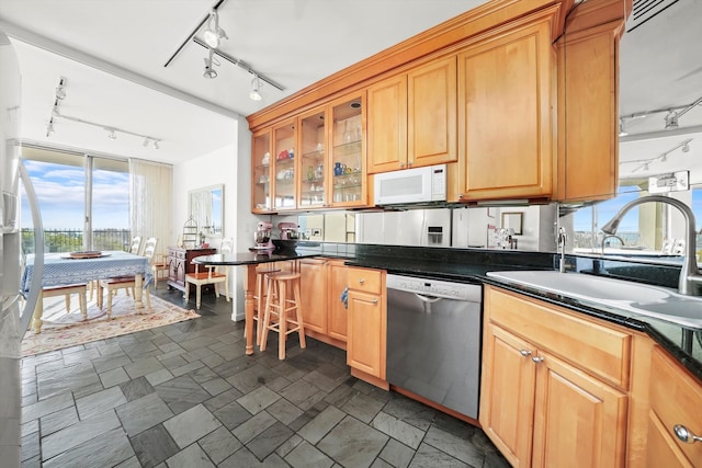 kitchen featuring sink, track lighting, and stainless steel dishwasher