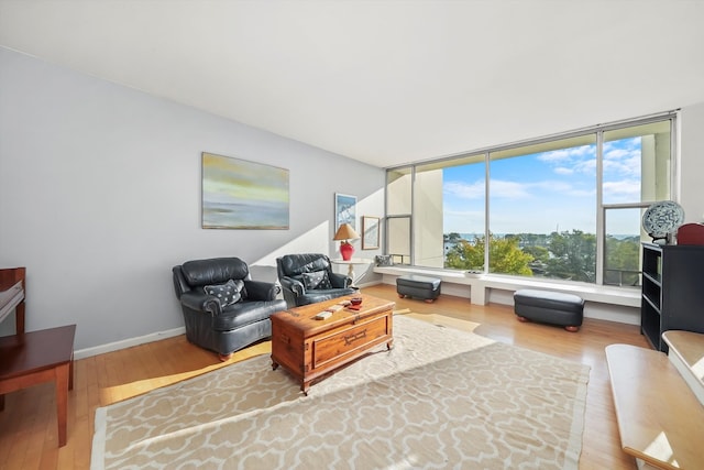 living room with hardwood / wood-style floors