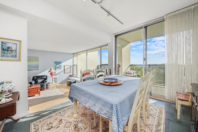 dining room with floor to ceiling windows and rail lighting