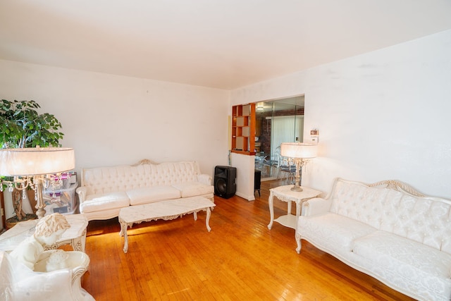 living room featuring hardwood / wood-style floors