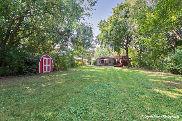 view of yard with a storage shed and an outdoor structure