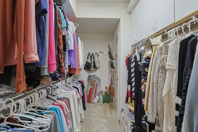 spacious closet featuring light carpet