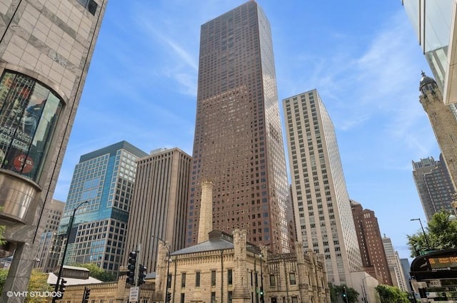 161 E Chicago Ave Unit 50A, Chicago, IL 60611 - photo 1