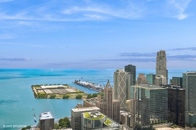 161 E Chicago Ave Unit 50A, Chicago, IL 60611 - photo 16