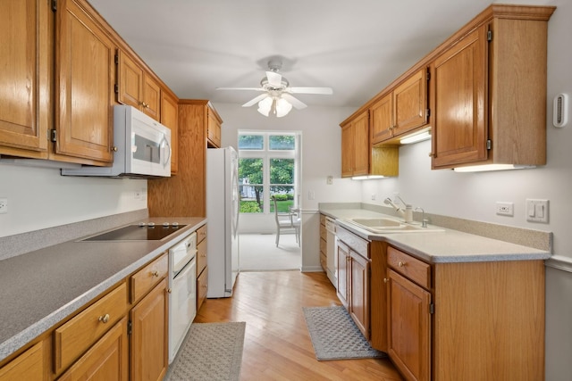 kitchen featuring white appliances, light hardwood / wood-style floors, ceiling fan, and sink