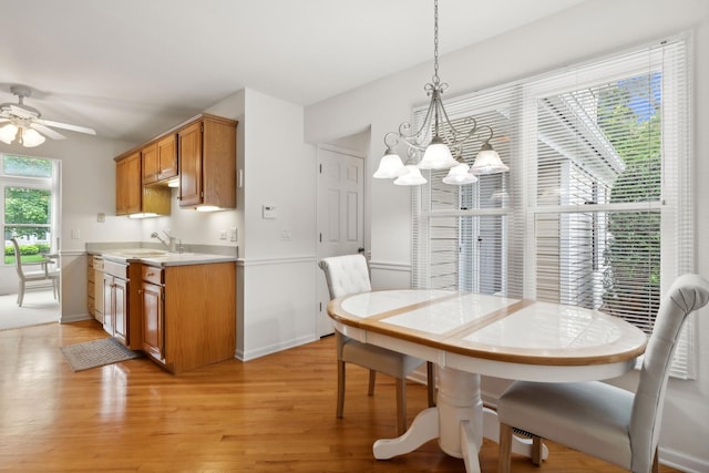 dining room featuring ceiling fan with notable chandelier and light wood-type flooring