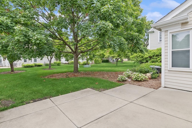 view of yard featuring a patio area