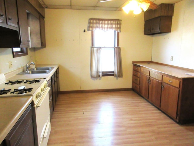 kitchen with ceiling fan, sink, light hardwood / wood-style flooring, a paneled ceiling, and white gas stove