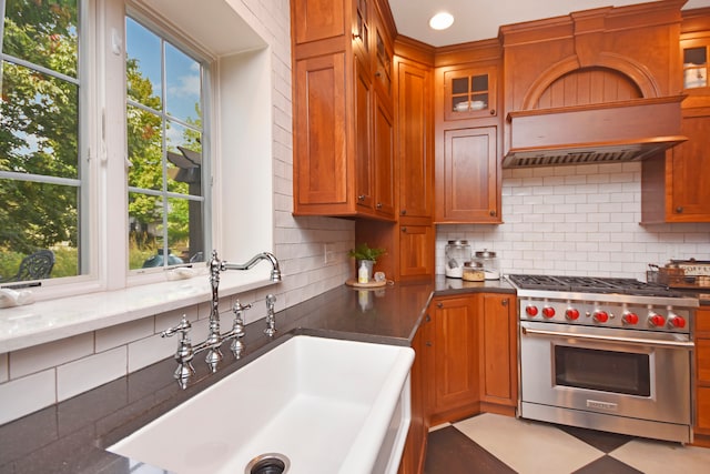 kitchen with premium range, a healthy amount of sunlight, sink, and backsplash