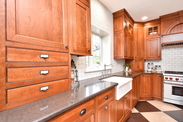 kitchen with dark stone counters, premium stove, sink, and decorative backsplash