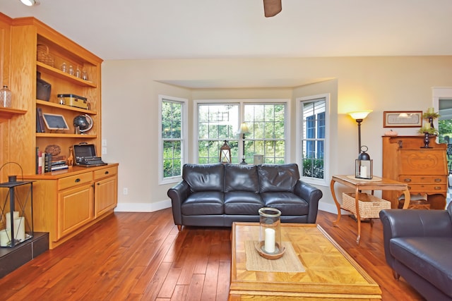 living room featuring dark hardwood / wood-style flooring