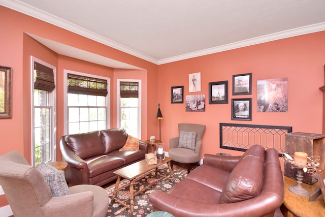 living room featuring crown molding