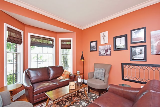 living room with wood-type flooring and crown molding