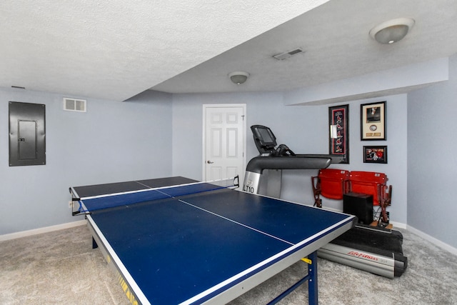 playroom with electric panel, a textured ceiling, and carpet flooring