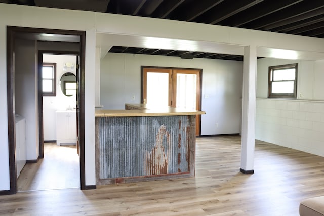 kitchen with light hardwood / wood-style floors and a healthy amount of sunlight