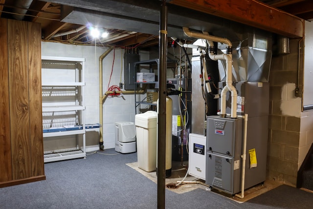 basement featuring heating unit