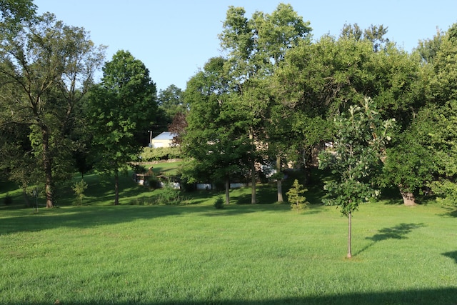 view of yard featuring a water view