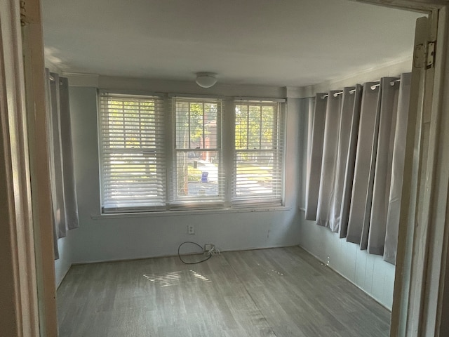 empty room with hardwood / wood-style flooring