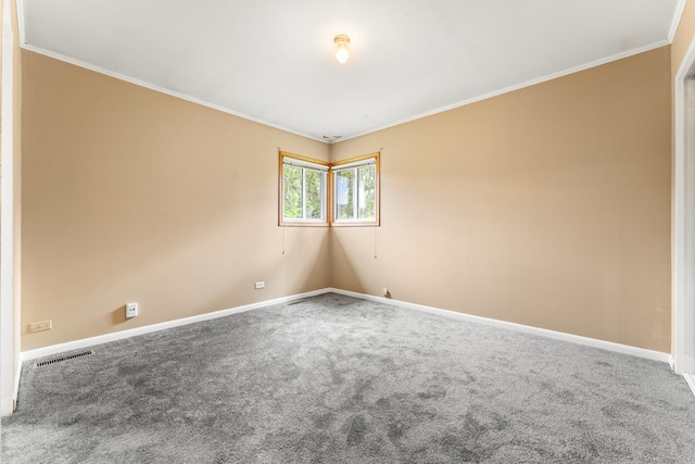 spare room with crown molding and carpet flooring