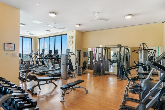 workout area with light wood-type flooring and ceiling fan