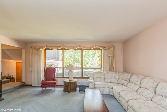 living room featuring carpet flooring