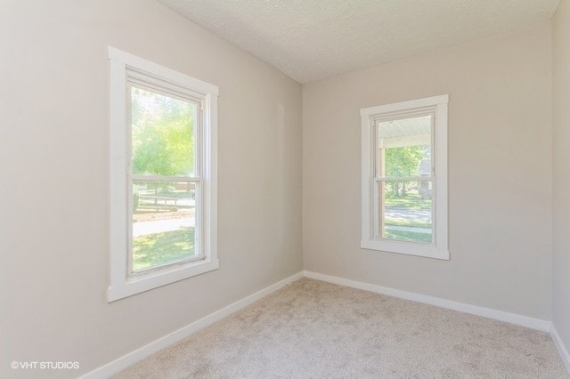 carpeted spare room with a textured ceiling and a wealth of natural light