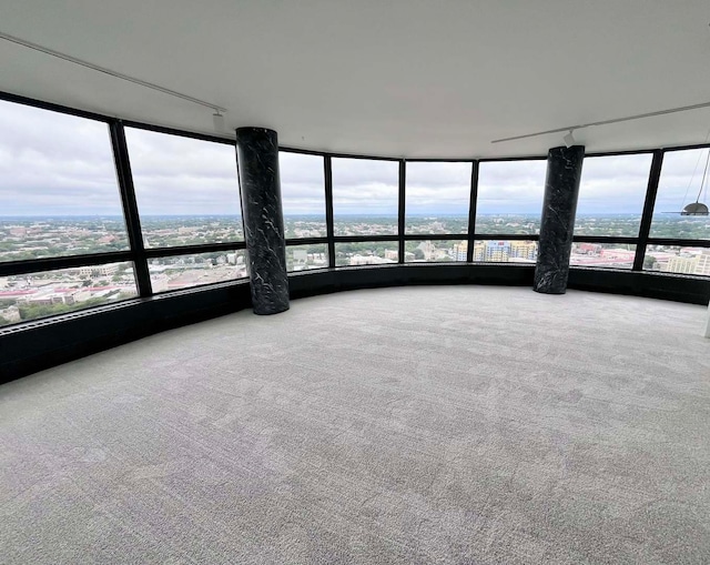 unfurnished living room with carpet floors and a healthy amount of sunlight