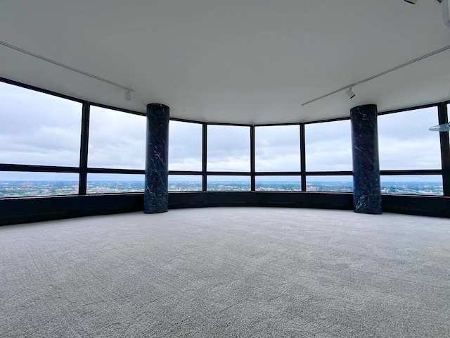 interior space featuring carpet floors and a wealth of natural light