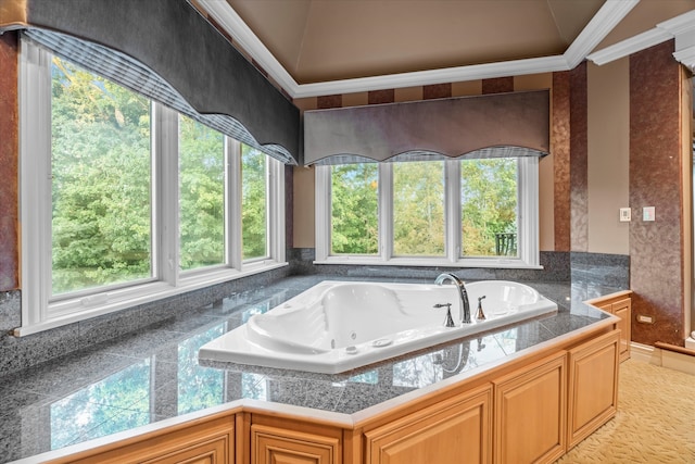 bathroom featuring a tub, vaulted ceiling, and ornamental molding