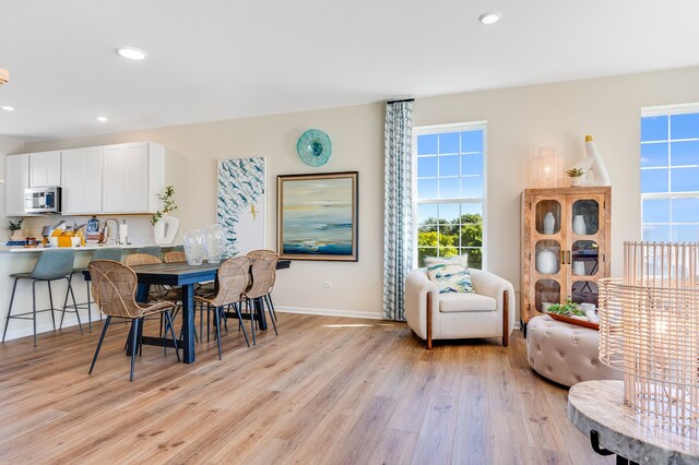 dining space with light hardwood / wood-style flooring and a healthy amount of sunlight