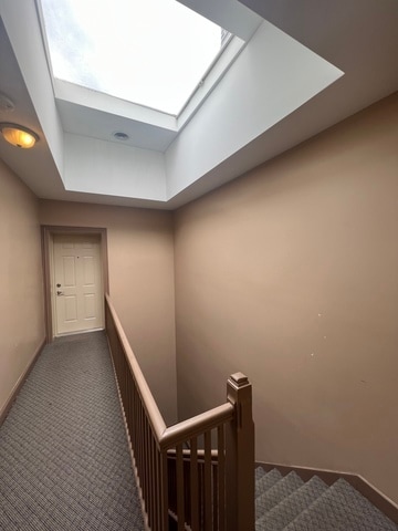 corridor featuring carpet floors and a skylight