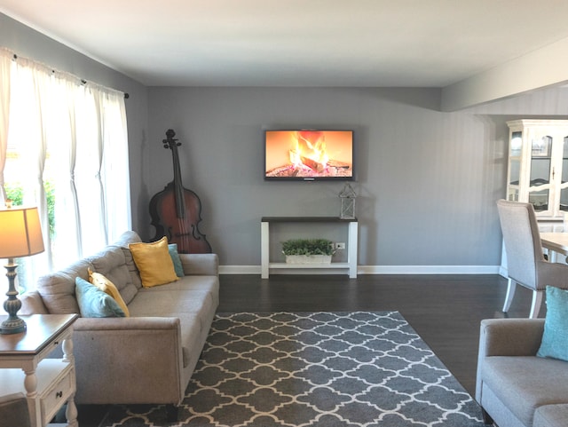 living room with dark hardwood / wood-style flooring and a wealth of natural light