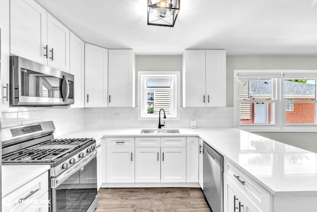9036 Walnut Ave, Franklin Park, IL 60131 - kitchen featuring appliances with stainless steel finishes, a sink, plenty of natural light, and light countertops
