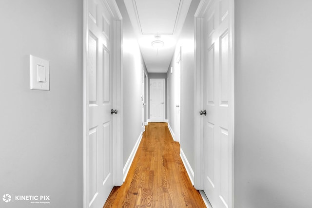 9036 Walnut Ave, Franklin Park, IL 60131 - hall with attic access, wood finished floors, and baseboards