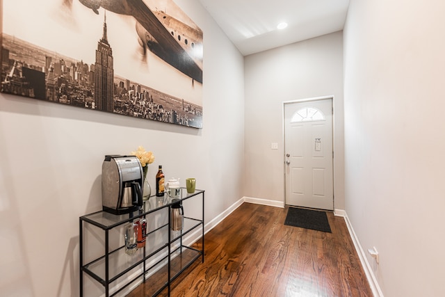 foyer entrance featuring dark wood-type flooring