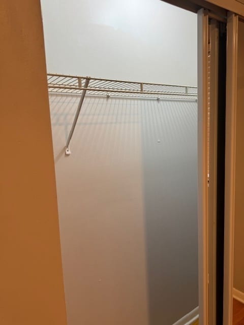 view of closet