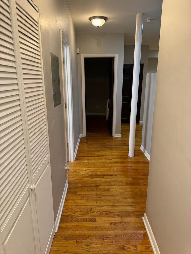 corridor featuring wood-type flooring and electric panel