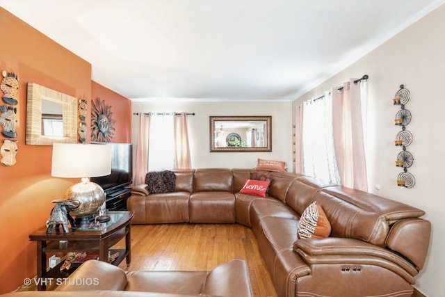 living room with light wood-type flooring