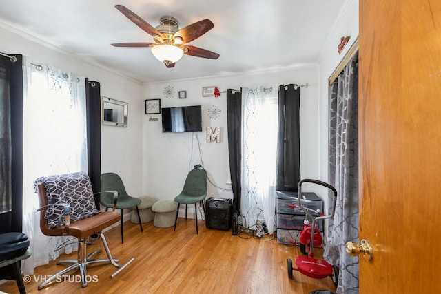 sitting room featuring light hardwood / wood-style flooring, ornamental molding, ceiling fan, and a healthy amount of sunlight