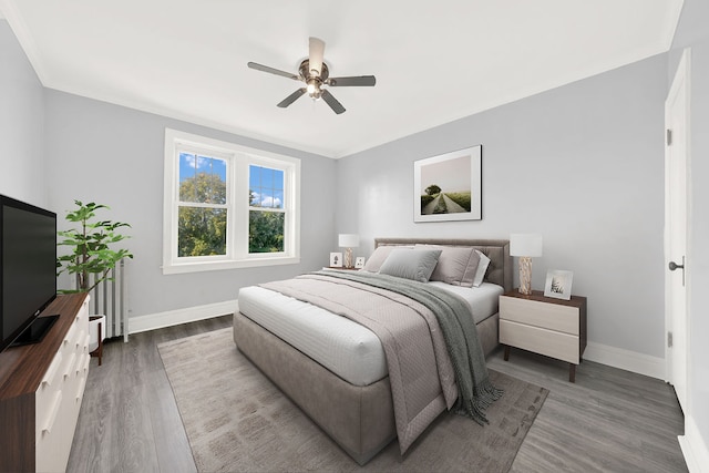 bedroom featuring ceiling fan and dark hardwood / wood-style flooring