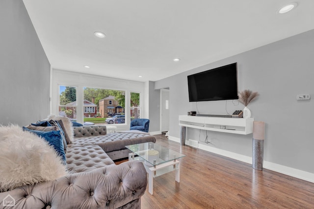 living room featuring wood-type flooring