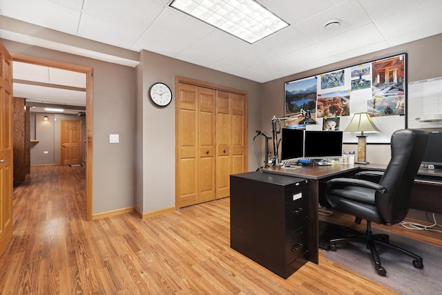 office featuring a drop ceiling and light hardwood / wood-style floors